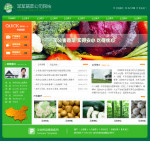 蔬菜種植加工企業網站
